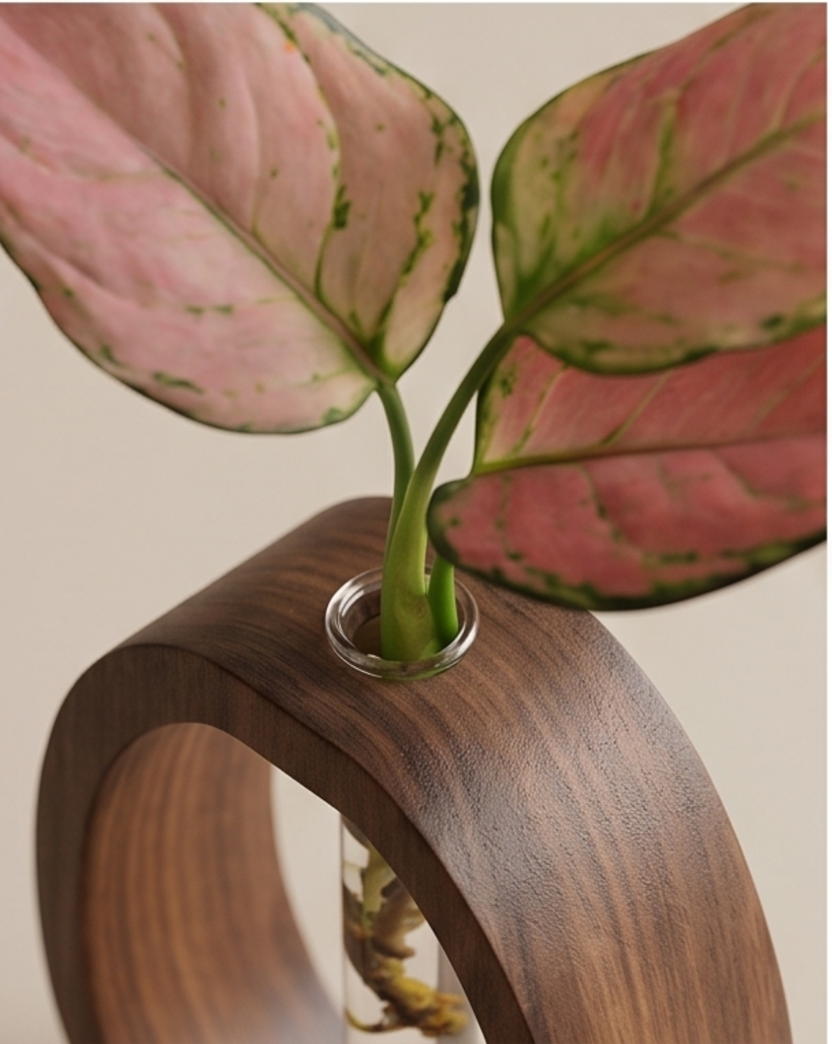 Cove vaas van massief walnoothout met glazen reageerbuis, 14,5cm | - Maison Roze