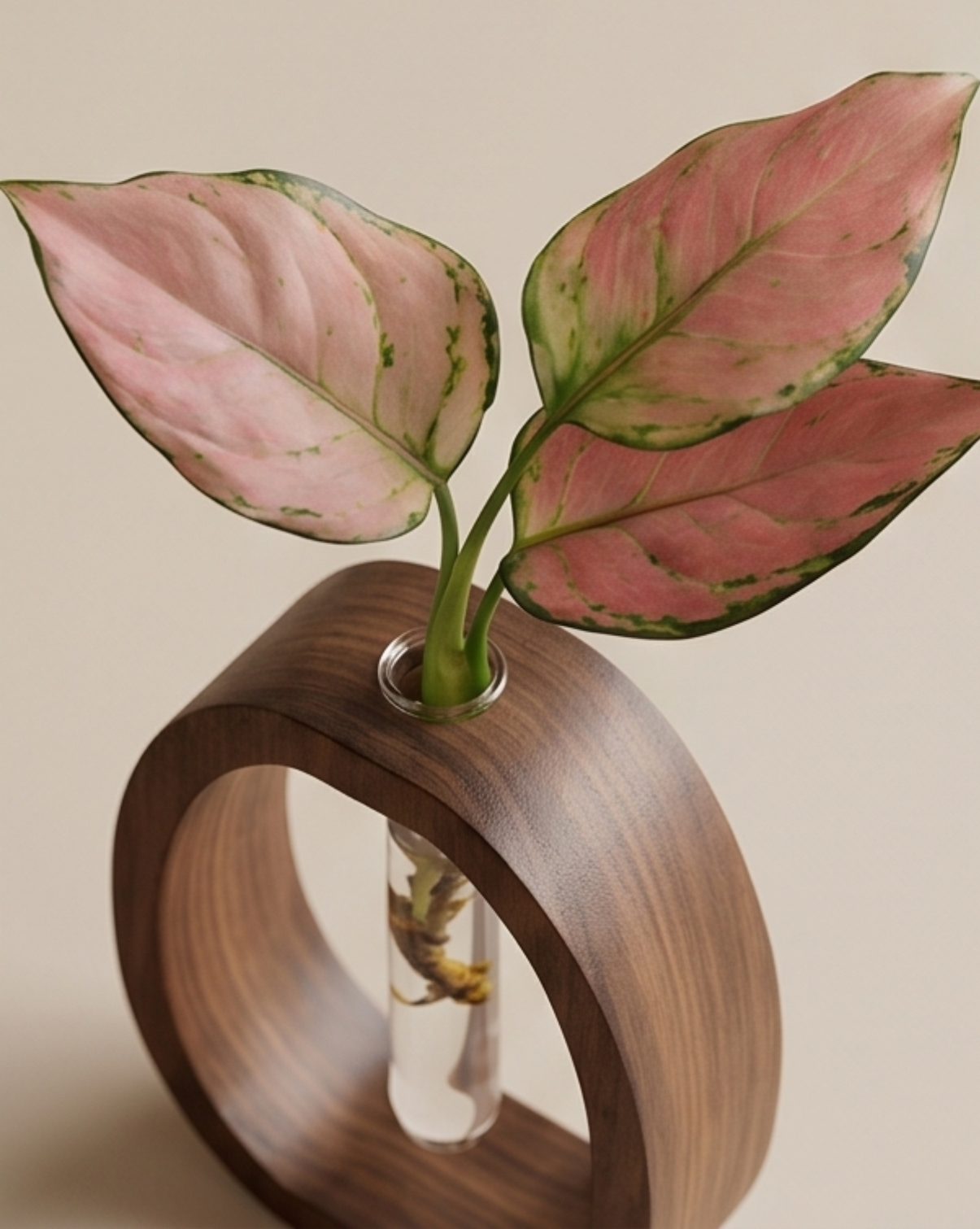 Cove vaas van massief walnoothout met glazen reageerbuis, 14,5cm | - Maison Roze